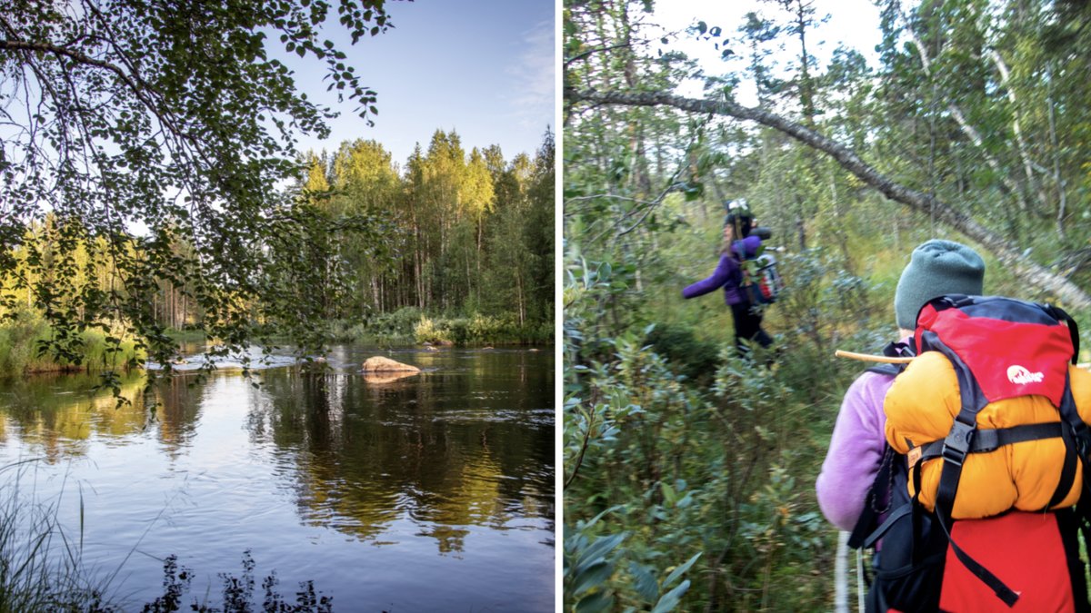 7 naturreservat att besöka i Stockholm – upptäck stadens gröna oaser.